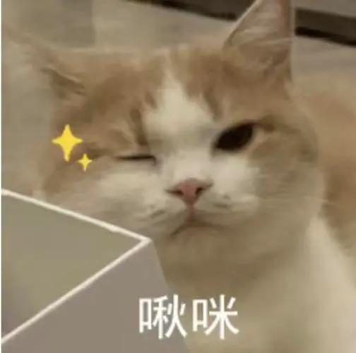 DƬ